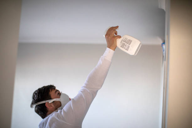 Best Best Mold Removal Companies  in North Kensington, MD