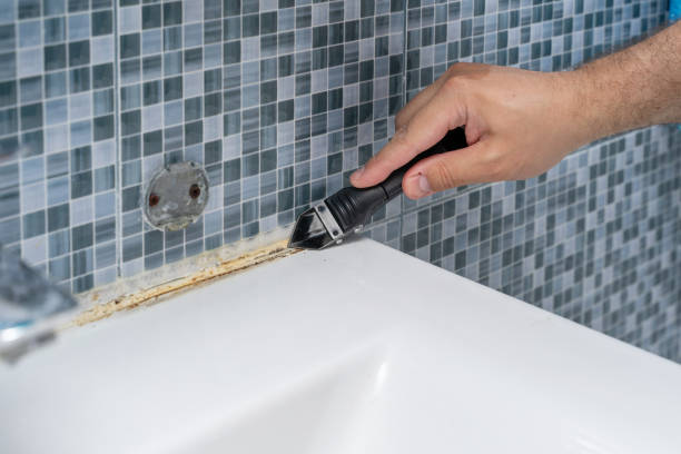 Best Commercial Mold Removal  in North Kensington, MD