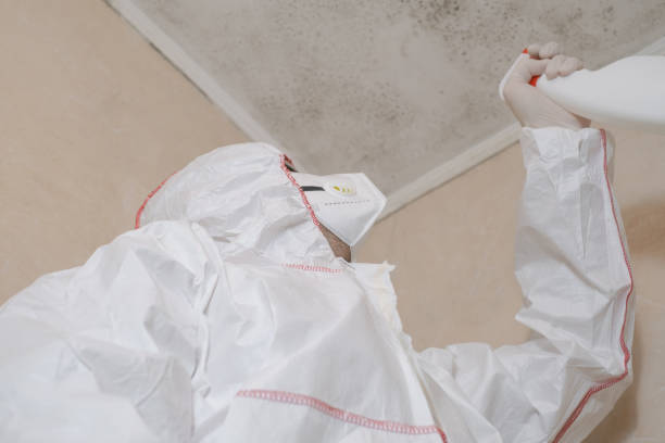Crawl Space Mold Removal in North Kensington, MD
